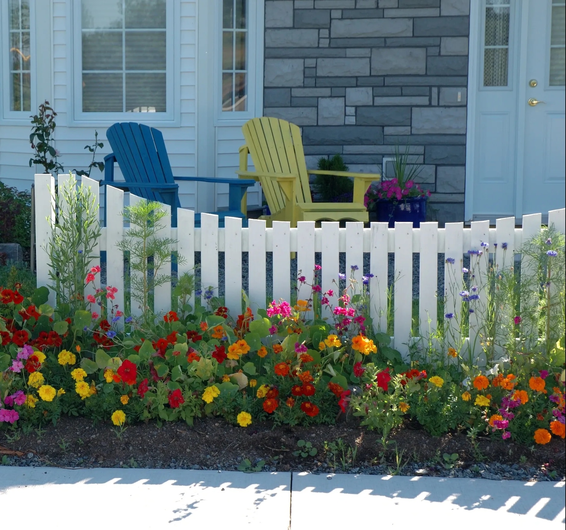 White vinyl picket fence with colorful garden — HOA-approved fence installation in Fort Collins
