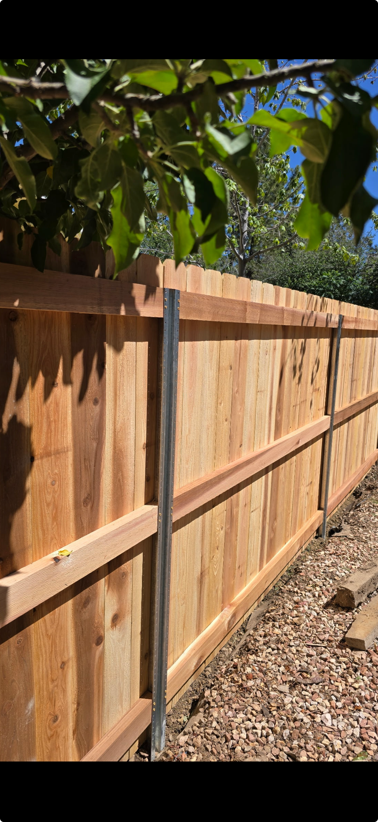 Cedar fence boards with warm wood grain texture
